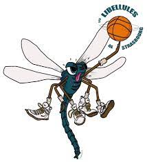 Logo LIBELLULES  STRASBOURG B.C